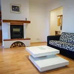Spacious Apartment With A Fireplace In The City