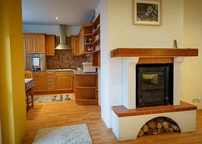 Spacious Apartment With A Fireplace In The City