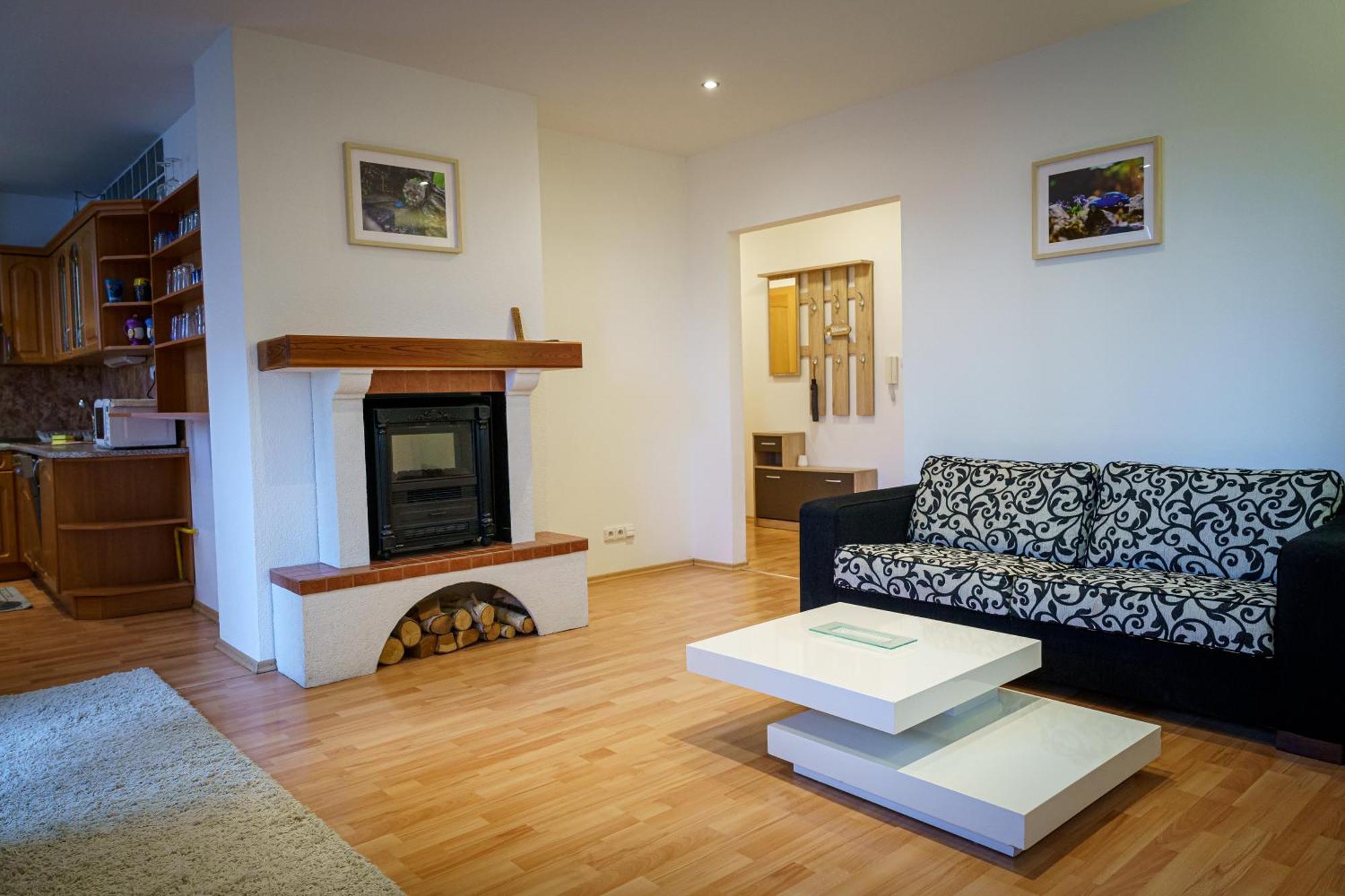 Spacious With A Fireplace In The * Pressburg