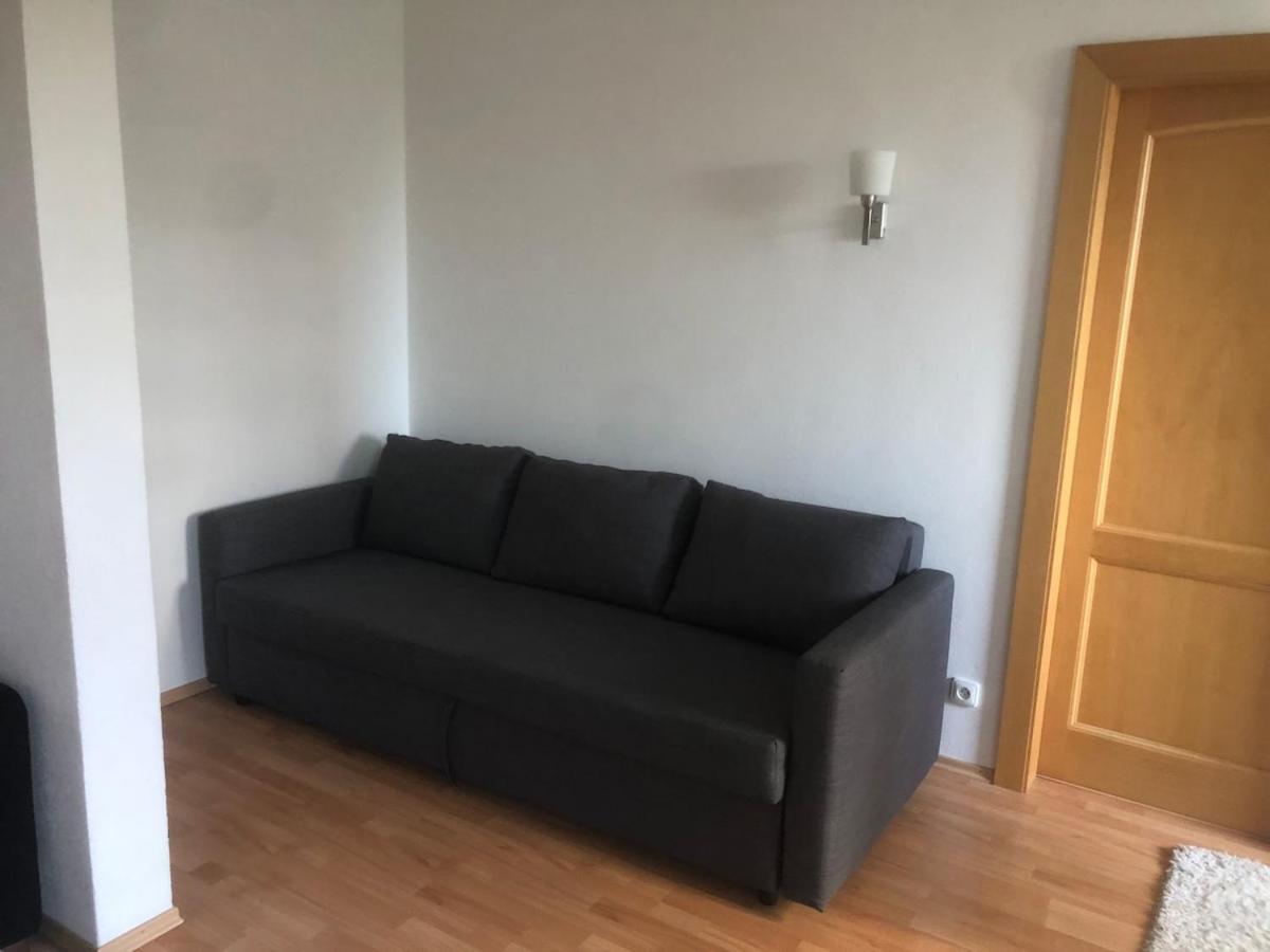 Spacious With A Fireplace In The Apartment *