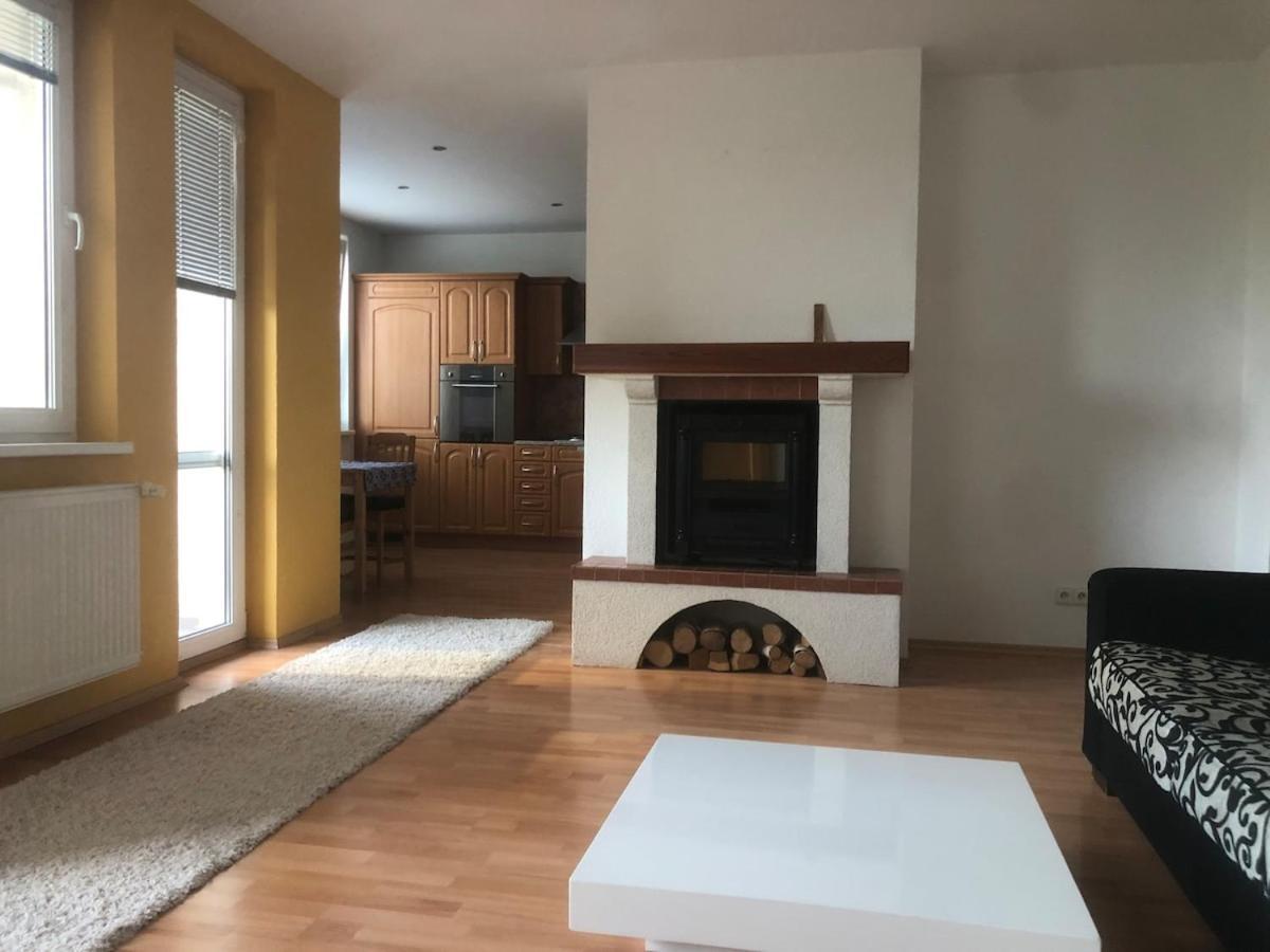 Apartment Spacious With A Fireplace In The Pressburg