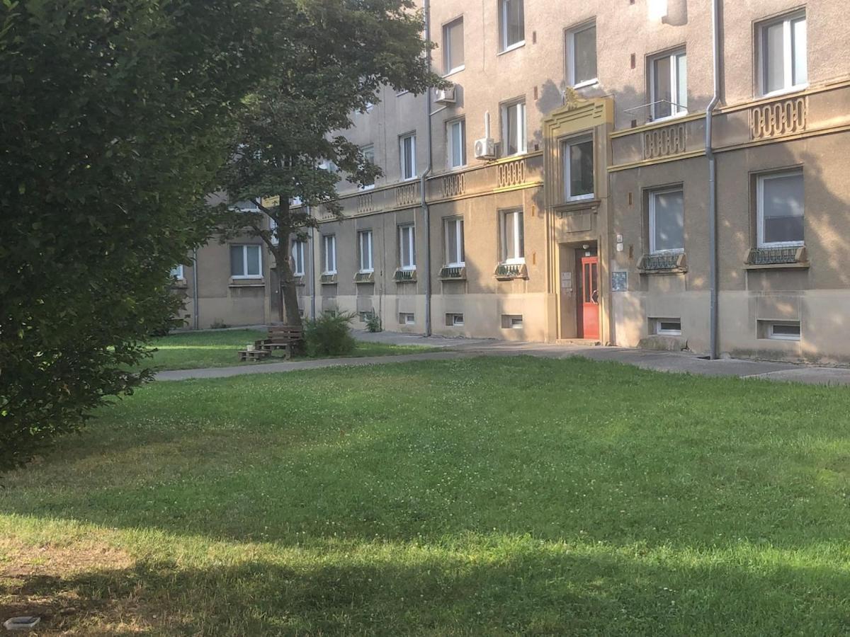 Spacious With A Fireplace In The Apartment Pressburg