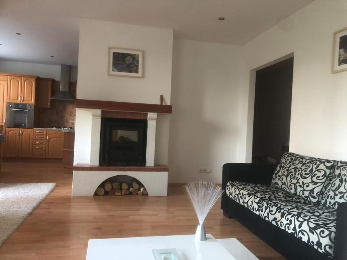 Spacious With A Fireplace In The Apartment