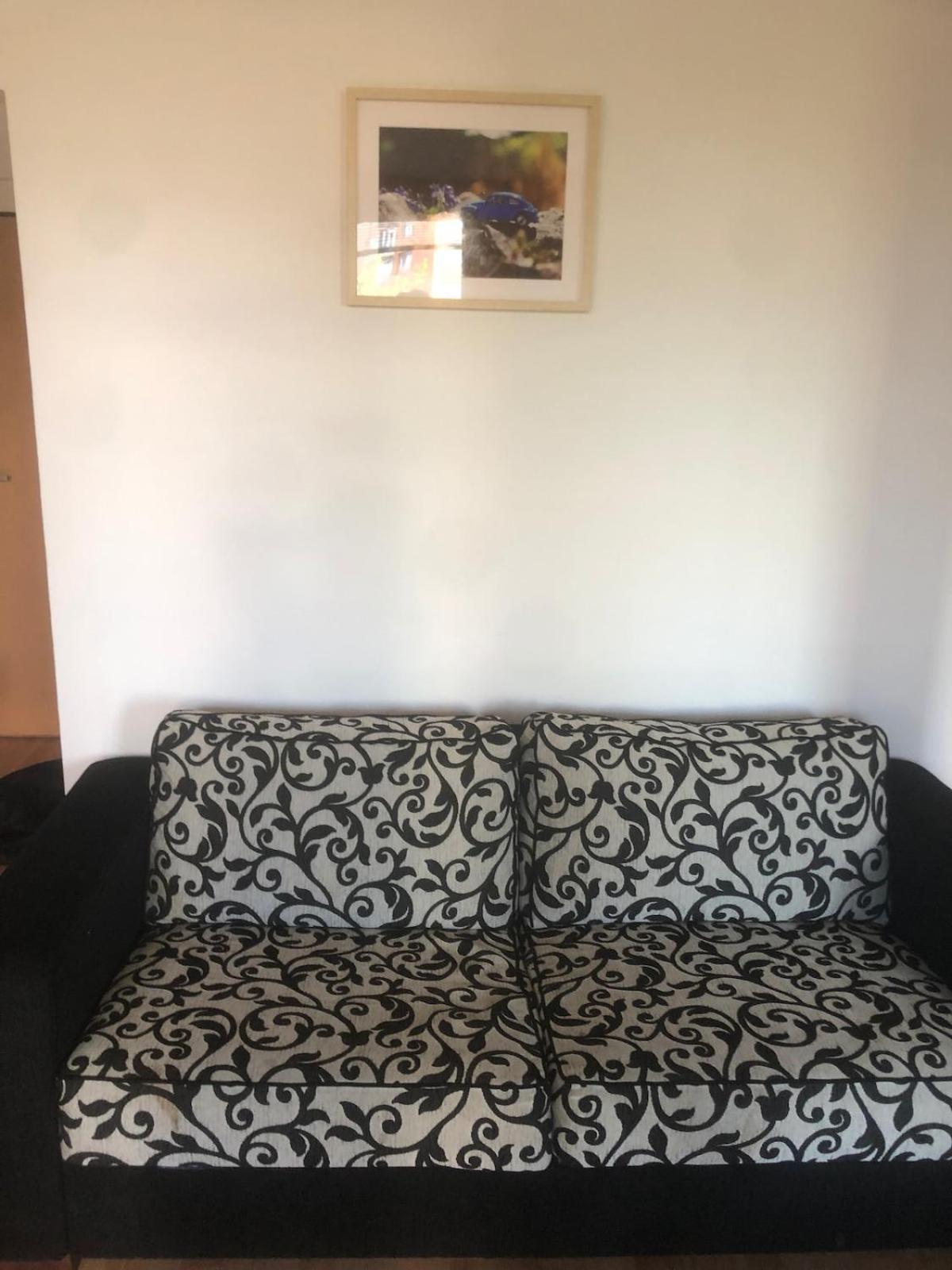 Spacious With A Fireplace In The Apartment
