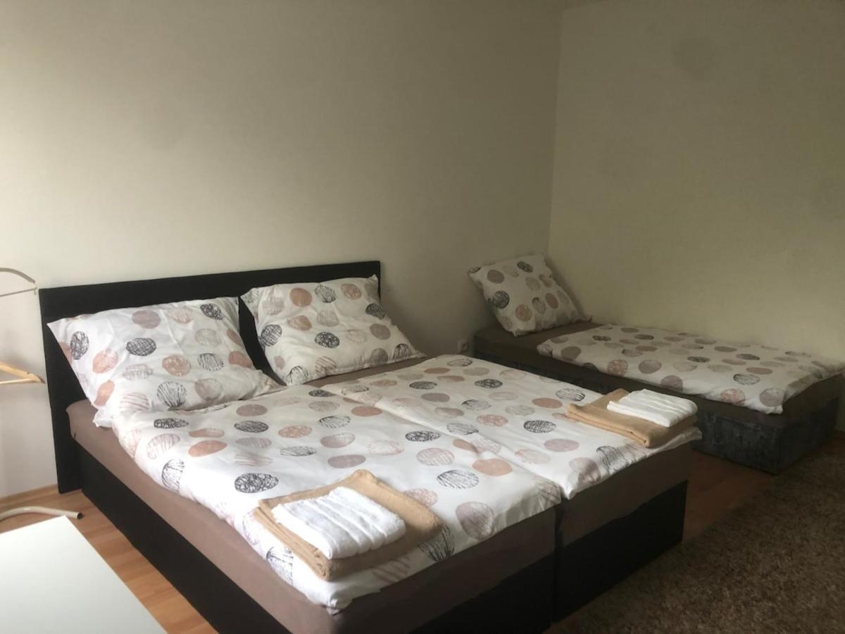 Spacious With A Fireplace In The Apartment *