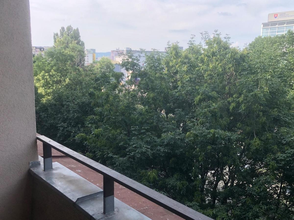 Apartment Spacious With A Fireplace In The