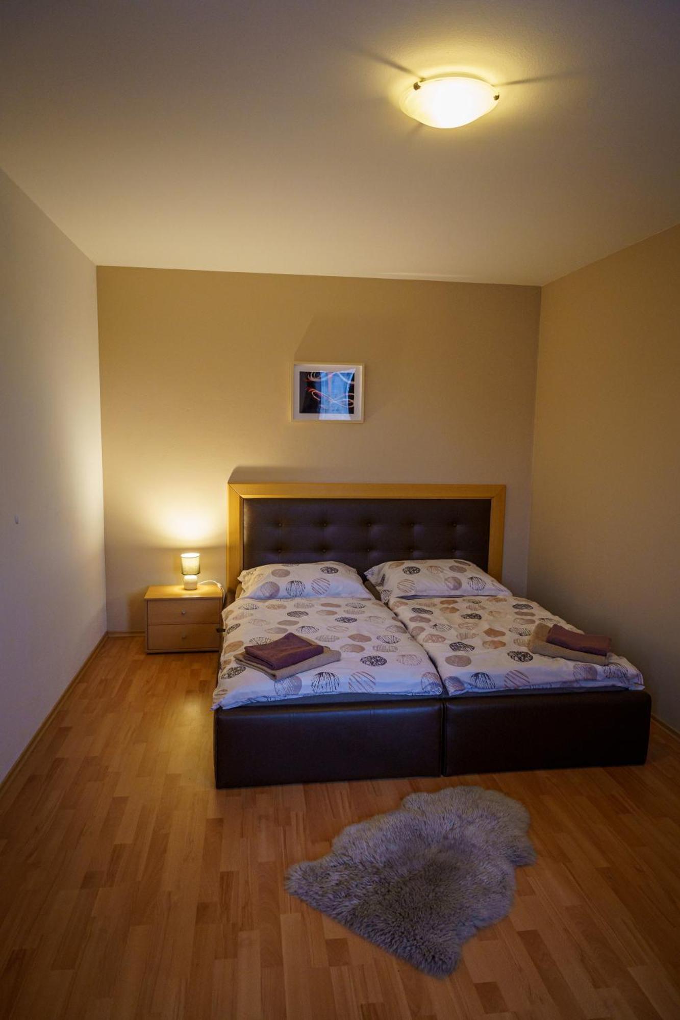 Spacious With A Fireplace In The * Pressburg