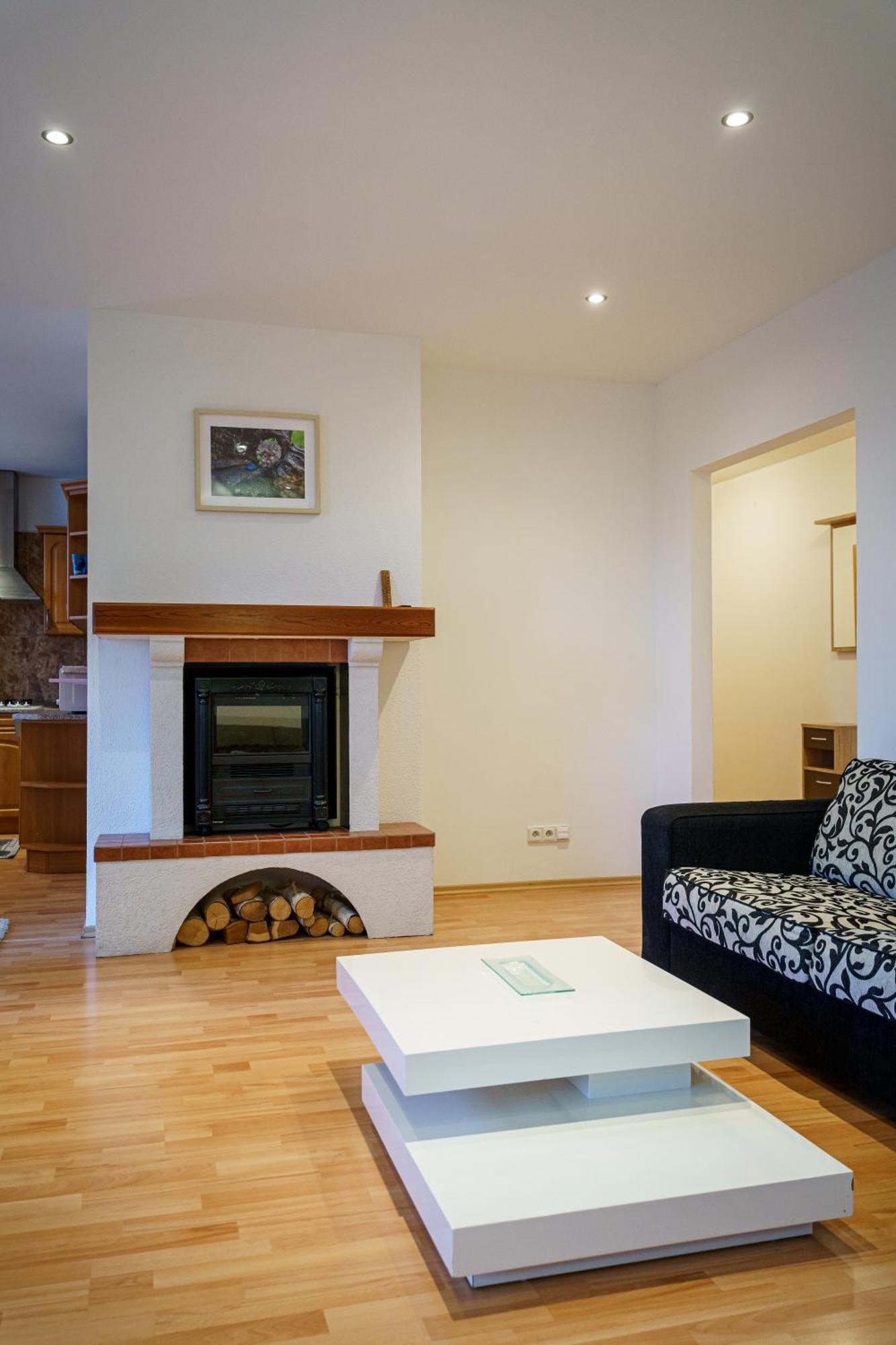 Spacious With A Fireplace In The Pressburg