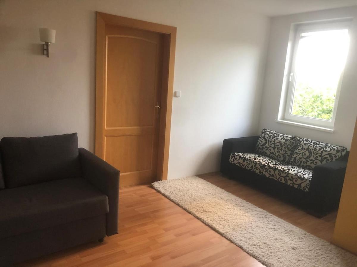 Spacious With A Fireplace In The