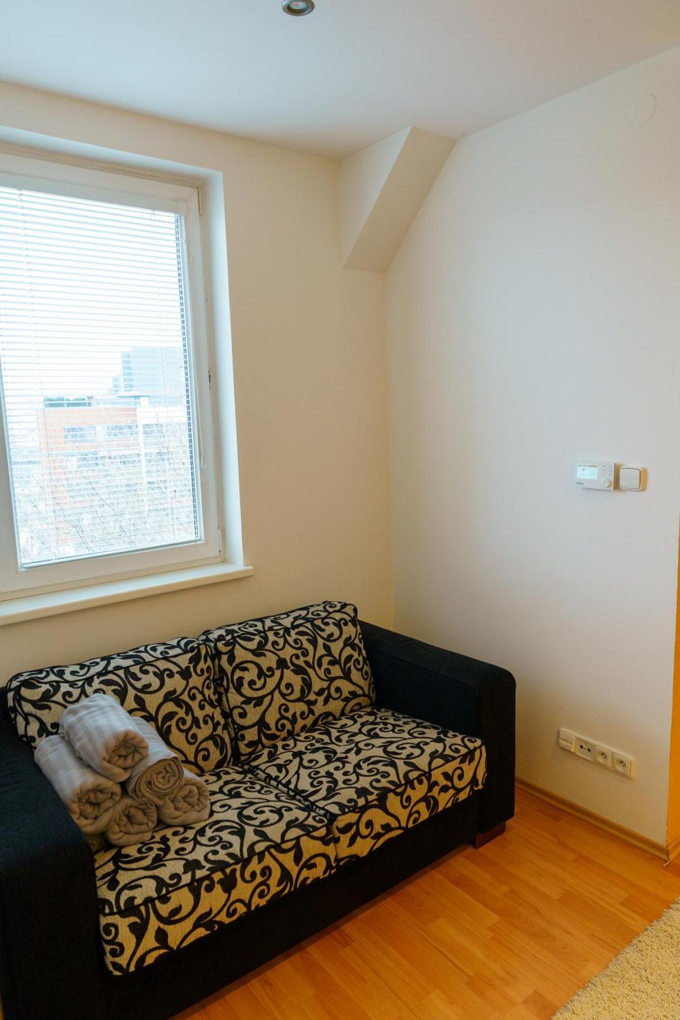 Spacious With A Fireplace In The Apartment Pressburg
